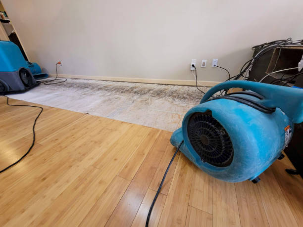 Professional Water Removal technician working in Abingdon, IL